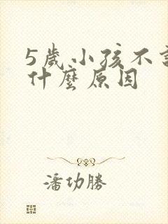 5岁小孩不说话什么原因