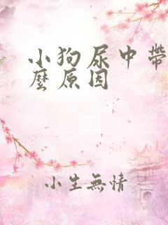 小狗尿中带血什么原因