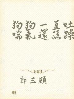 狗狗一直吐舌头喘气还焦躁不安