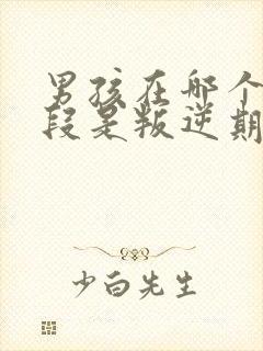 男孩在哪个年龄段是叛逆期