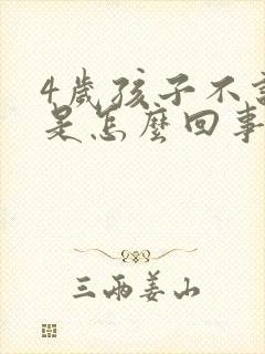 4岁孩子不说话是怎么回事