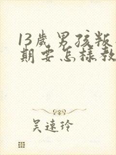 13岁男孩叛逆期要怎样教育或开导呢