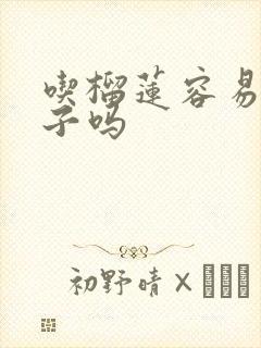 吃榴莲容易拉肚子吗