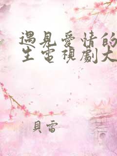 遇见爱情的利先生电视剧大结局