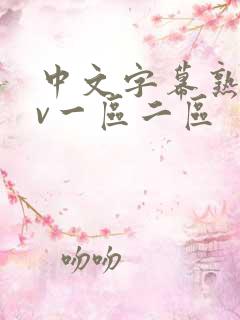 中文字幕熟女av一区二区