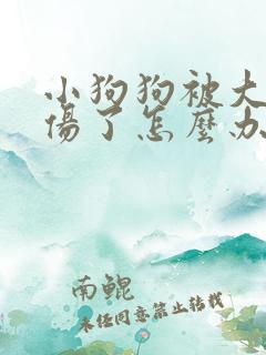 小狗狗被大狗咬伤了怎么办