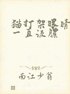 猫打架眼睛受伤一直流脓