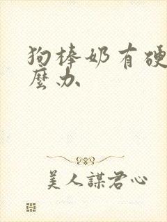 狗棒奶有硬块怎么办