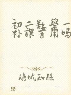 初二数学一对一补课有用吗