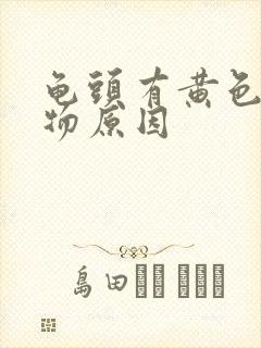 龟头有黄色分泌物原因