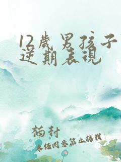 12岁男孩子叛逆期表现