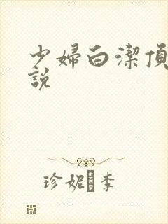 少妇白洁顶点小说