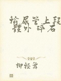 输尿管上段结石 体外 碎石