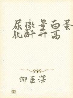 尿微量白蛋白尿肌酐升高