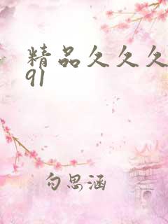 精品久久久久久91