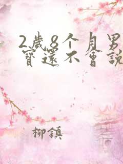 2岁8个月男宝宝还不会说话