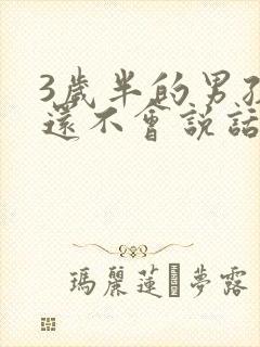 3岁半的男孩子还不会说话