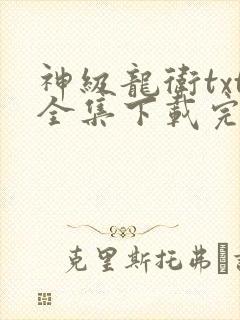 神级龙卫txt全集下载完整版