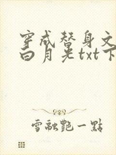 穿成替身文里的白月光txt下载