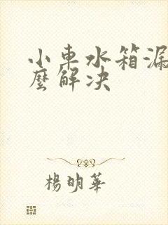 小车水箱漏水怎么解决