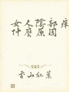 女人阴部痒痒是什么原因