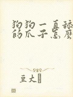 狗狗一直舔自己的爪子怎么回事