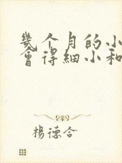 几个月的小狗不会得细小和犬瘟