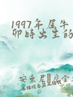 1997年属牛卯时出生的命运