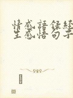 情感语录经典人生感悟句子