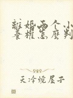 离婚两个小孩抚养权怎么判