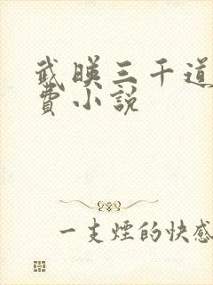 武映三千道 免费小说