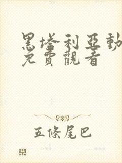 黑塔利亚动画片免费观看