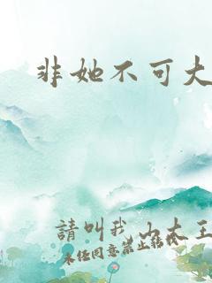非她不可大结局