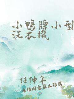 小鸭牌小型双缸洗衣机