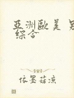 亚洲欧美 另类 综合