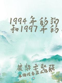 1994年的狗和1997年的牛相配吗