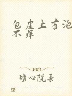 包皮上有泡不疼不痒