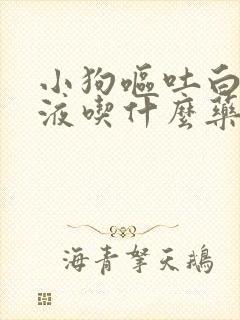 小狗呕吐白色粘液吃什么药