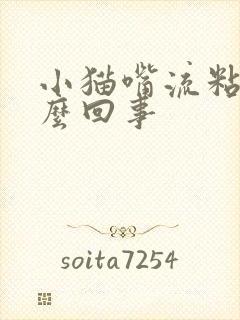 小猫嘴流粘液怎么回事