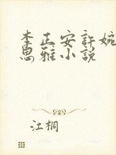 李正安许婉卿宋思雅小说