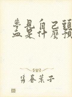 梦见自己头破流血是什么预兆解梦