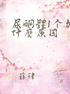 尿酮体1个加号什么原因