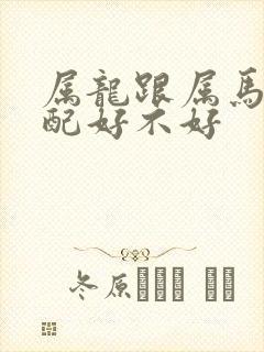 属龙跟属马的婚配好不好