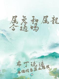 属兔和属龙婚配合适吗