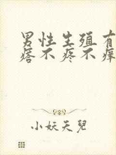 男性生殖有小疙瘩不疼不痒是怎么回事