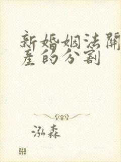 新婚姻法关于财产的分割