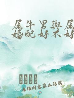 属牛男与属狗女婚配好不好呀