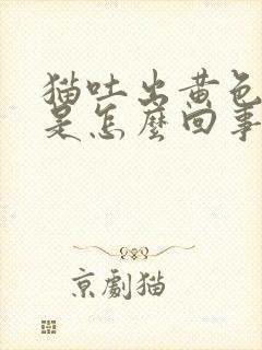 猫吐出黄色液体是怎么回事