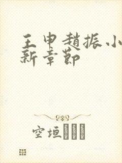 王申赵振小说最新章节