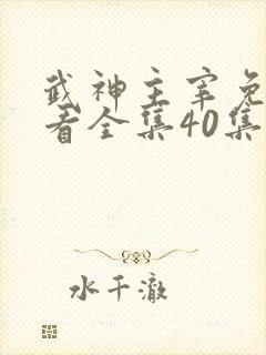 武神主宰免费观看全集40集